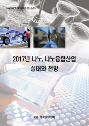 2017년 나노, 나노융합산업 실태와 전망