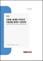 2020년 고효율·중대형 이차전지 기술개발 동향과 시장전망