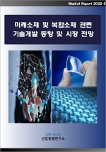 미래소재 및 복합소재 관련 기술개발 동향 및 시장전망