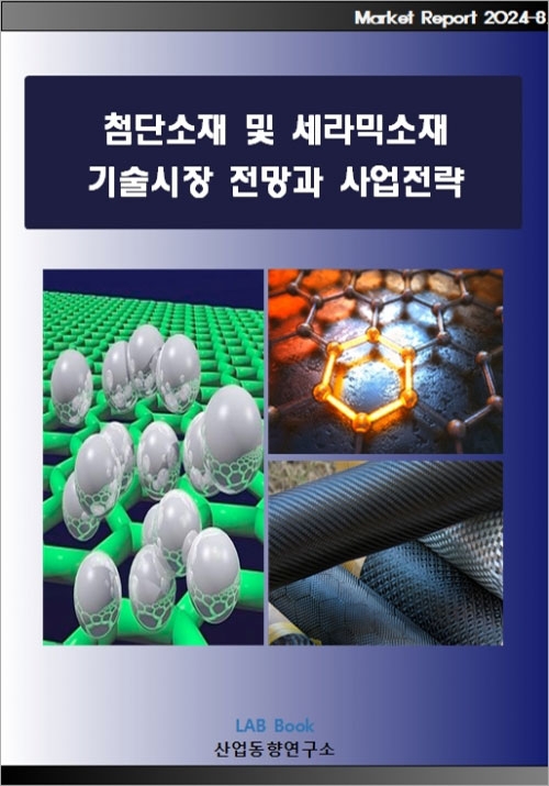 첨단소재 및 세라믹소재 기술시장 전망과 사업전략