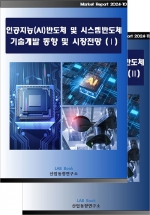 인공지능(AI)반도체 및 시스템반도체 기술개발 동향 및 시장전망 (Ⅰ, Ⅱ 세트)