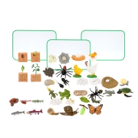 성장과정 피규어9종 + 자석보드판 3종세트