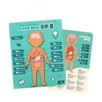 튼튼 자석으로배우는 우리몸