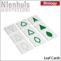 [NIENHUIS MONTESSORI] 나뭇잎 도형 카드