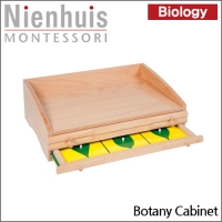 [NIENHUIS MONTESSORI] 나뭇잎 도형 캐비닛