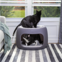 [스텝2] 펫 하우스