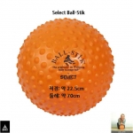 큰 덴마크 마사지볼 볼스틱 Select Ball-Stik 큰오렌지볼 대형 마사지볼 근육이완 근육강화 긴장해소 웰빙건강용품 마사지용품 피로회복 스트레스해소