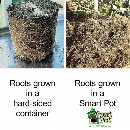[공식수입원] 공기가 통하는 화분 통기성 스마트 Smart Pots Container Black 뿌리가 안썩는 화분