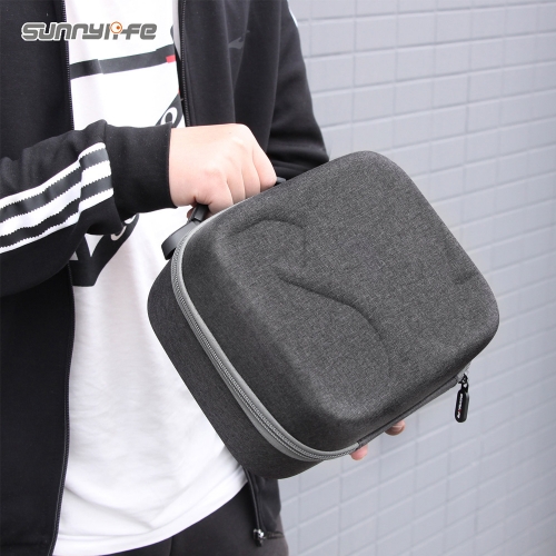 DJI FPV 고글 전용 휴대용 케이스 가방 Carrying Case