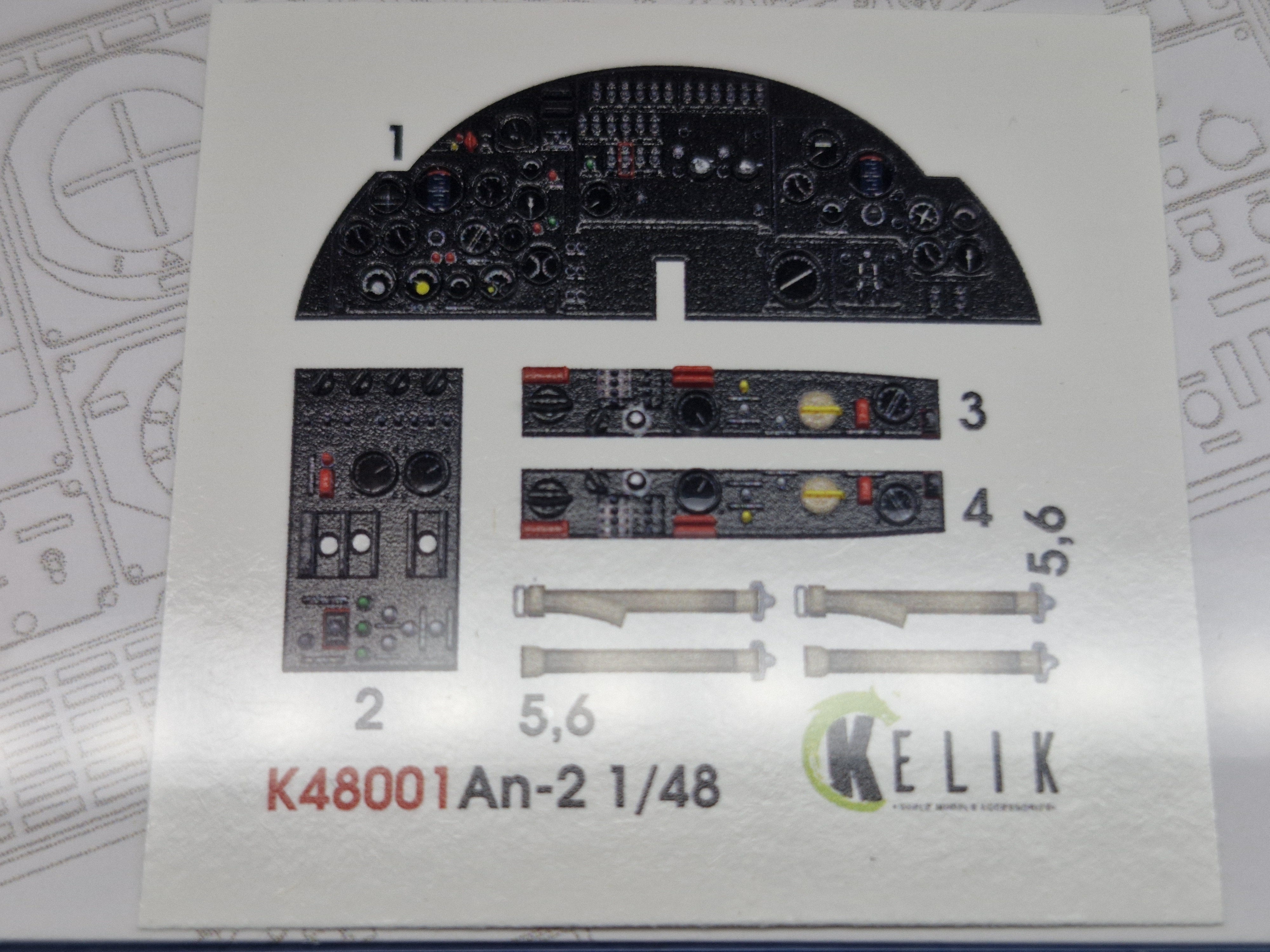 20241126-22.jpg