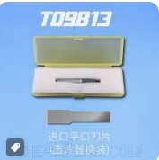 [사전 예약] T09B13 Flat Blade（5PCS）