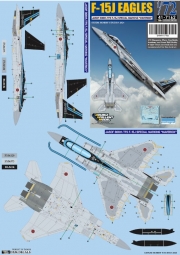 DXM41-7162 1/72 JASDF F-15J 306SQ Special marking Maverick