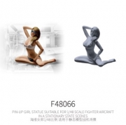 [사전 예약] F48066 1/48	PIN-UP GIRL STATUE SUITABLE FOR 1/48 SCALE FIGHTER AIRCRAFT IN A STATIONARY STATE SCENES