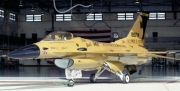 [사전 예약] FD48017 1/48 Golden Viper F-16C Block 30 /F-16A Block 10 185th FW 1996/2022