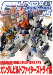 [사전 예약] HBJ61021 Gundam Weapons Gundam Build Fighters Try