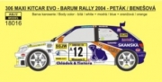 [사전 예약] REJ18016 1/18 Decal – Peugeot 306 Maxi KitCar EVO - Barum Rally 2004 - Peták / Benešová 1/18