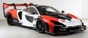 [사전 예약] Z207 1/24 McLaren Senna GTR part set for Tamiya