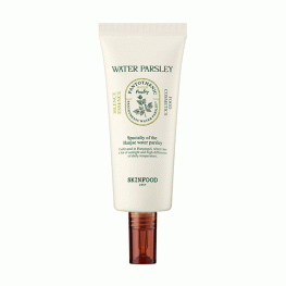 SKINFOOD PANTOTHENIC WATER PARSLEY SILENCE ESSENCE (70ml)