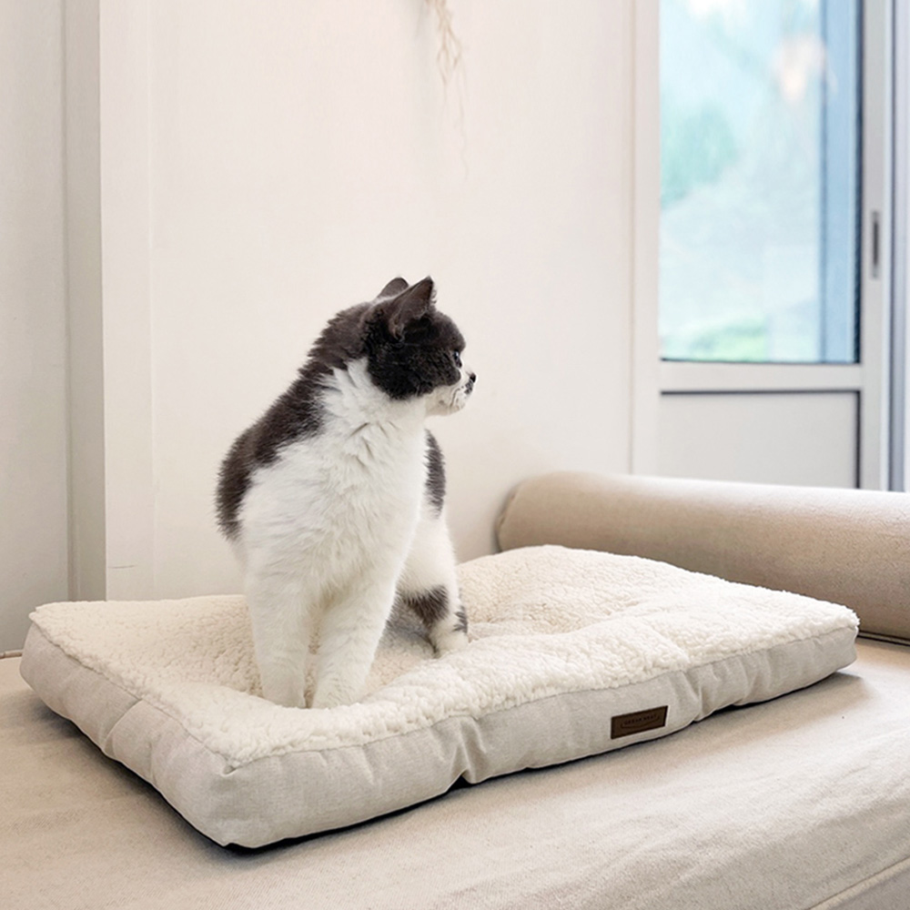 이노센트 몽글방석 - M i106133