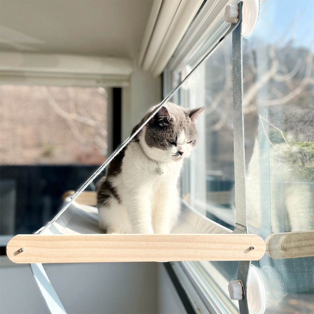 이노센트 윈도우 해먹 i106142