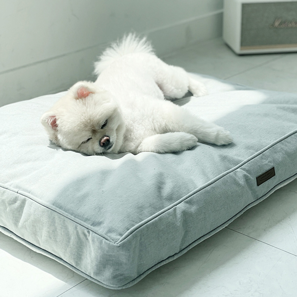 이노센트 포시즌 양면방석 M i106145