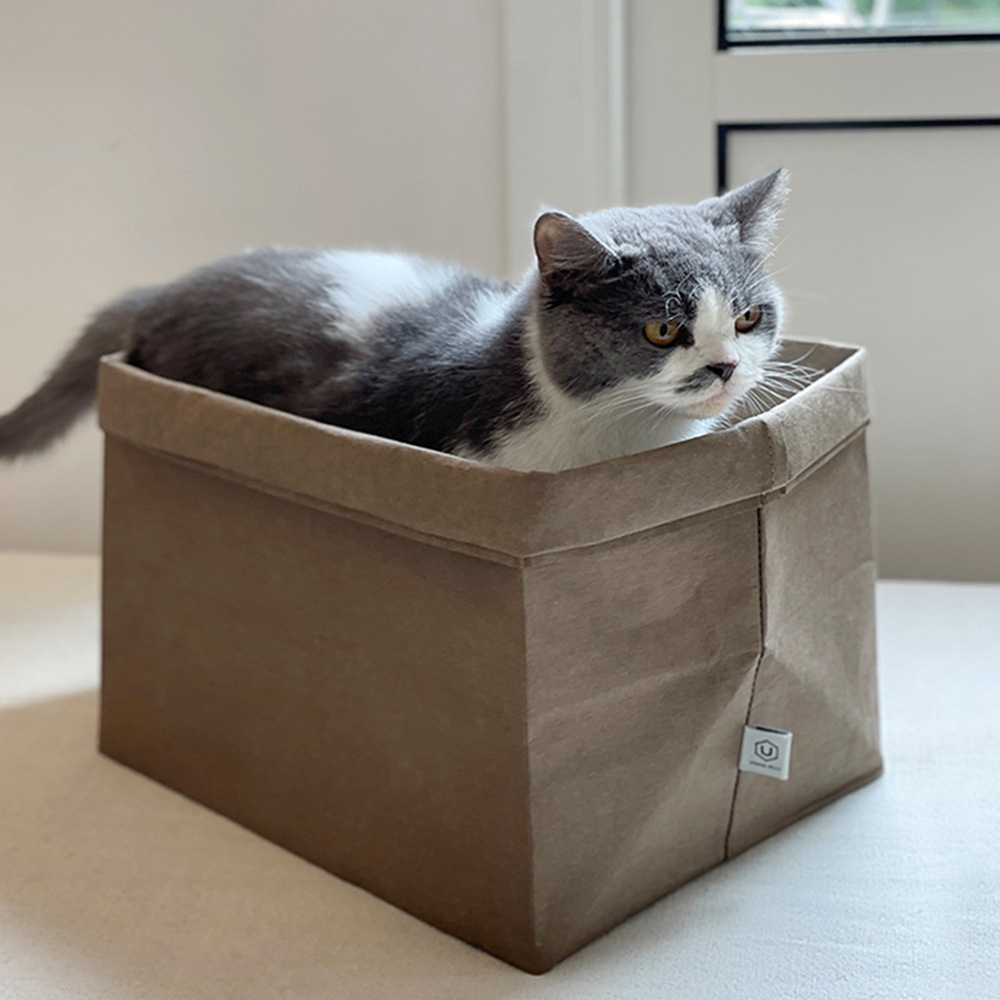 이노센트 숨숨 고양이 봉투 i106130