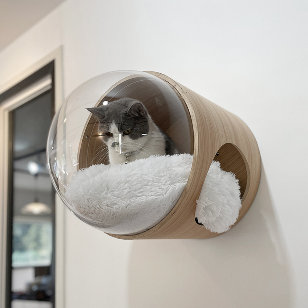 이노센트 스페이스쉽 하우스 i106141