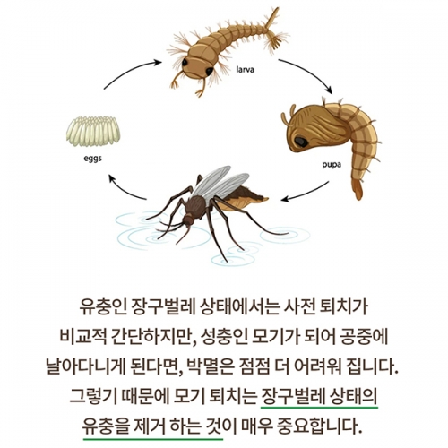 국보 킬라바트위스트 모기유충제거 방역 살충 가루 산제 100g