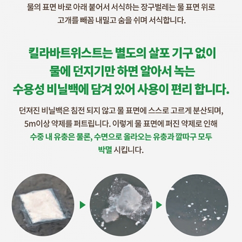 국보 킬라바트위스트 모기유충제거 방역 살충 가루 산제 100g