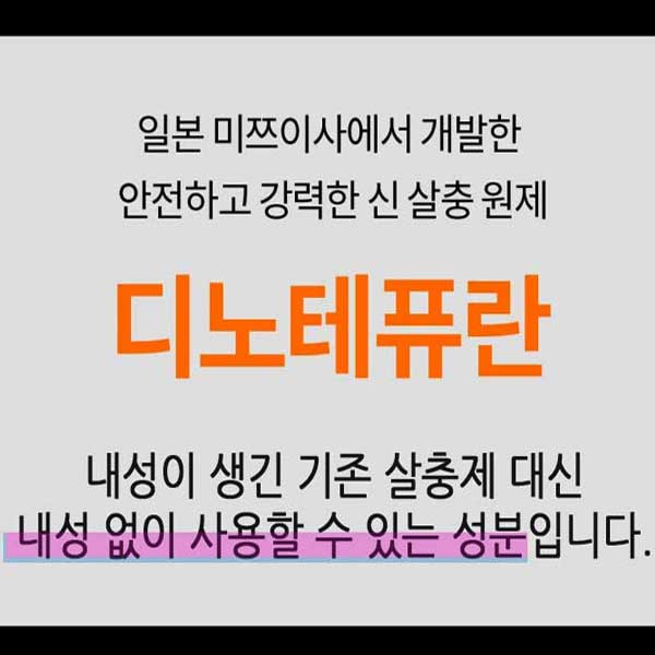 국보싸이언스 빈대퇴치제 프로텍 디노테퓨란 살충제 내성없는 빈대약 파리 모기