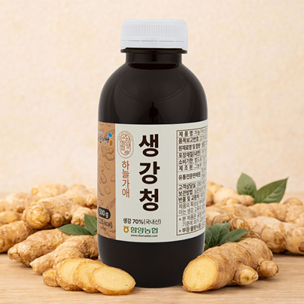 함양농협 하늘가애 생강청 500g