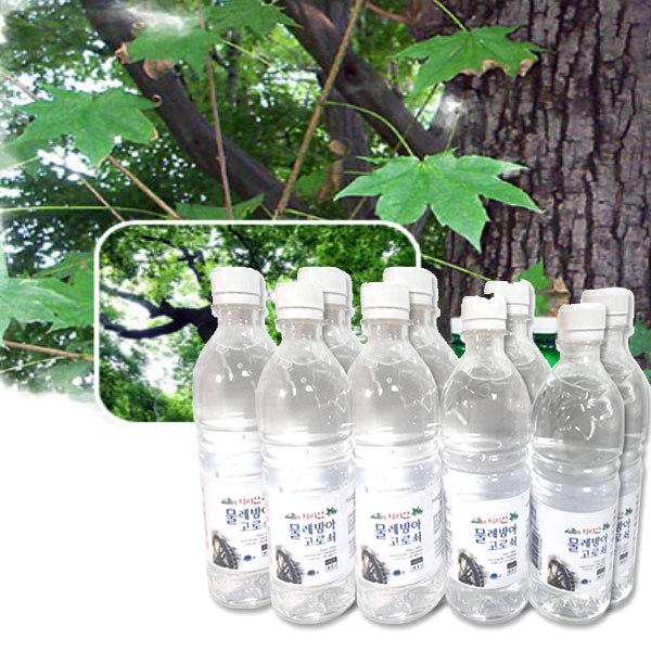 지리산함양 고로쇠 영농조합법인 고로쇠 500mlx30개