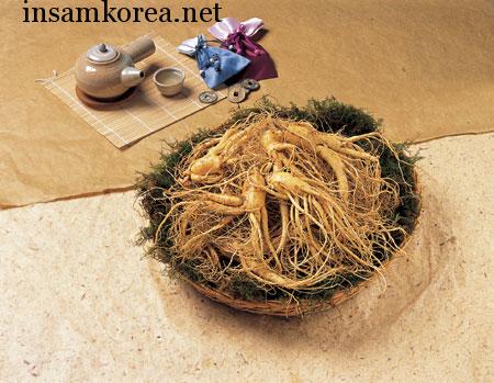 가정용수삼(대난발) 750g