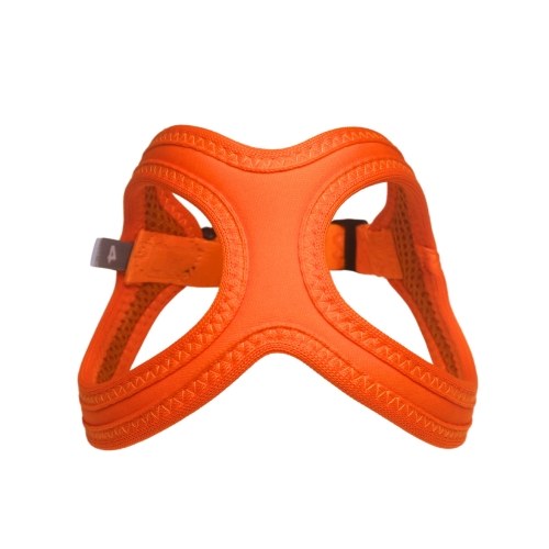 BB Sport Harness - Firefly