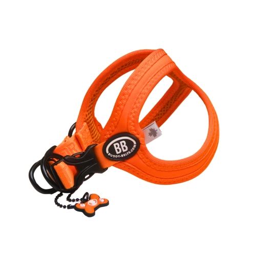 BB Sport Harness - Firefly