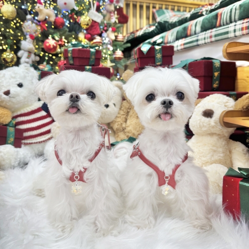 Snowflake Crystal Pandant