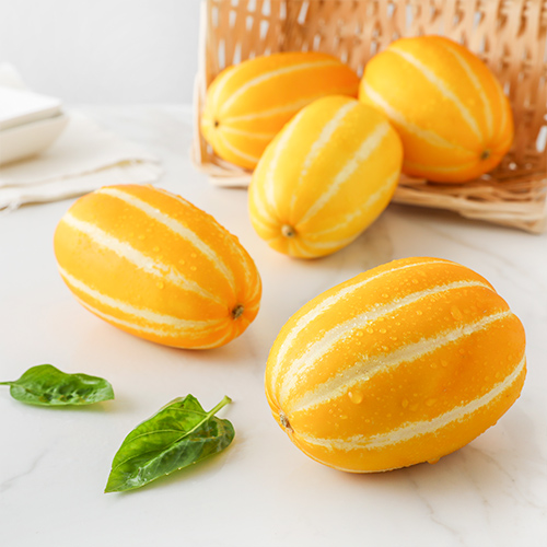 참외(4~5입/봉) 참외(4~5입/봉)