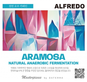 [천연 로우 카페인] 아라모사 2022 - 알프레도 250g