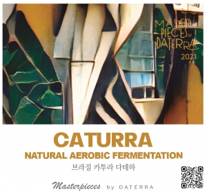 [마스터피스] 카투라 2021 - 더 크로스 250g