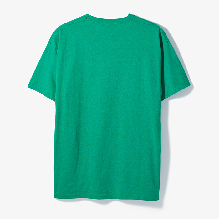 T-RICHWOODS T-SHIRT GREEN