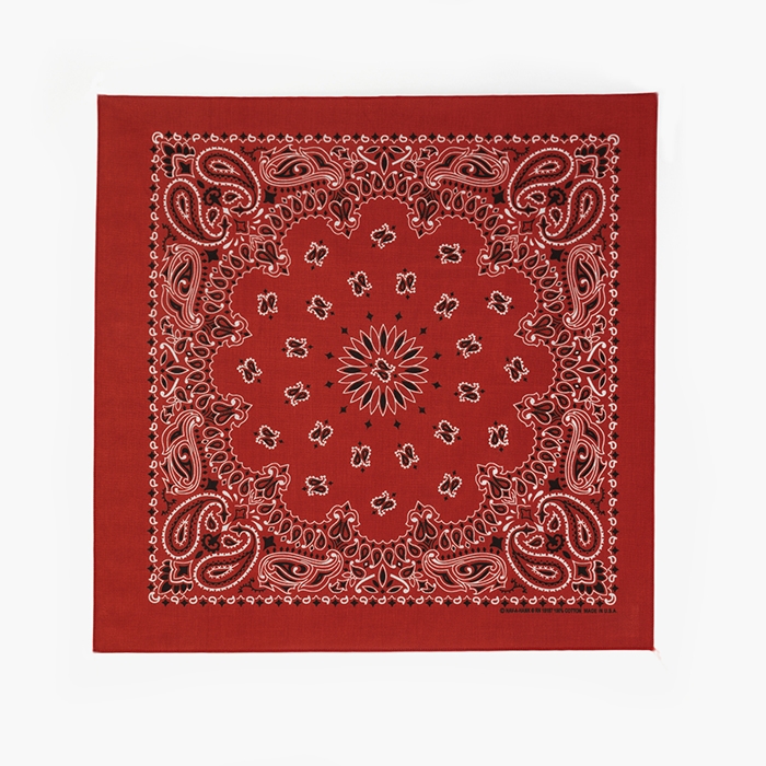 PAISLEY BANDANA RUST