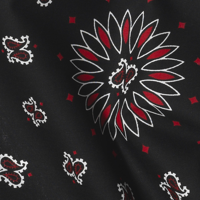 PAISLEY BANDANNA BLK&RED