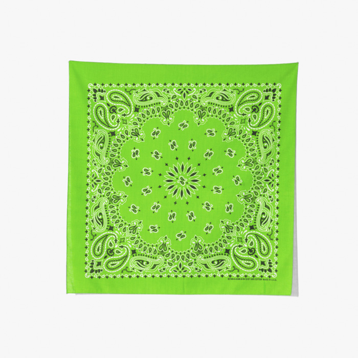 PAISLEY BANDANNA LIME