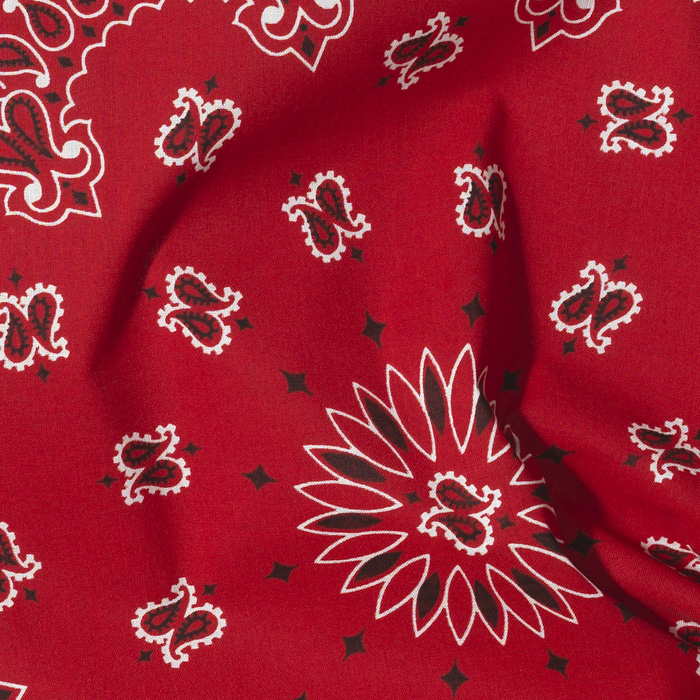 PAISLEY BANDANNA RED