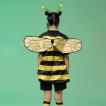 꿀벌 슈트 세트