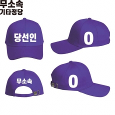 2026 지방선거 무소속 선거 모자 보라1