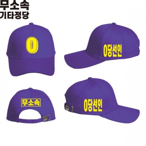 2026 지방선거 무소속 선거 모자 보라1