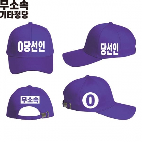 2026 지방선거 무소속 선거 모자 보라2