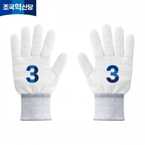 2026 지방선거 조국혁신당 선거 장갑 흰색1