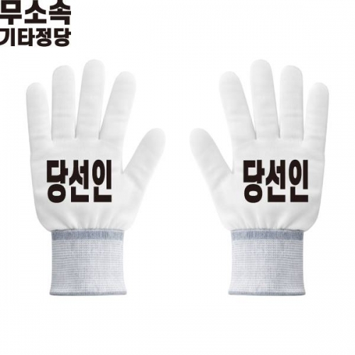 2026 지방선거 무소속 선거 장갑1